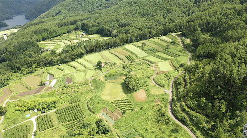 奈川のそば畑_空撮