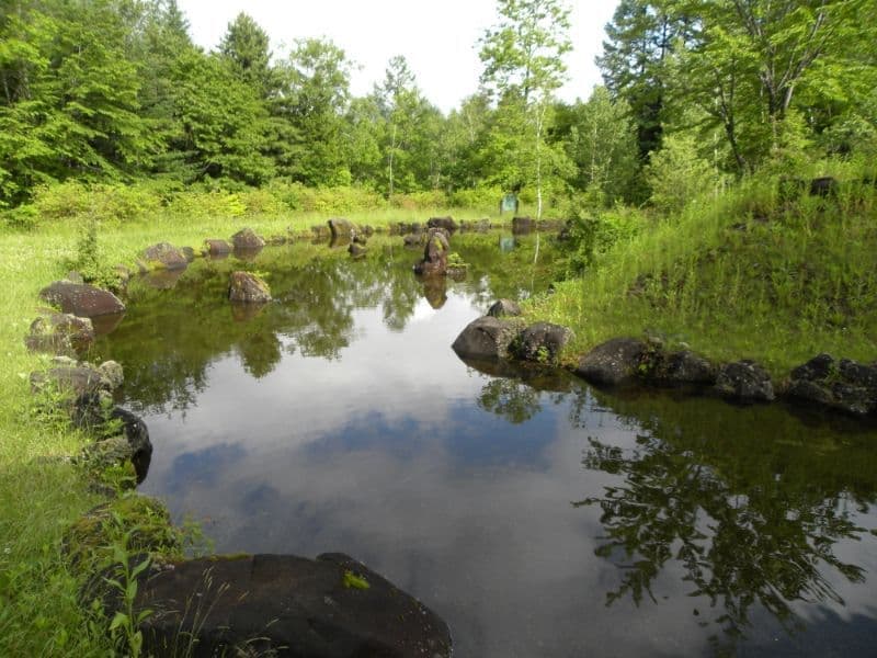 奈川フォレストフィールド