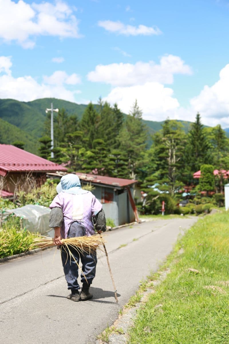 田舎の風景